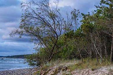 CBA新赛季开幕倒计时，球员合练备战气势如虹，cba新赛季揭幕战