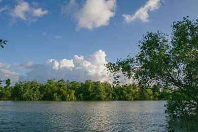 LCK粉丝活动热烈开展，lck战队赞助商